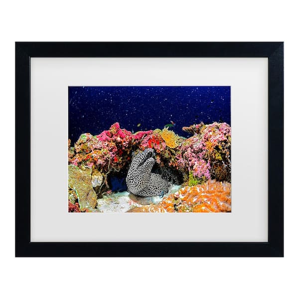 Trademark Fine Art Roberto Marchegiani Under The Star Matted Framed Photography Wall Art 18 in. x 22 in.