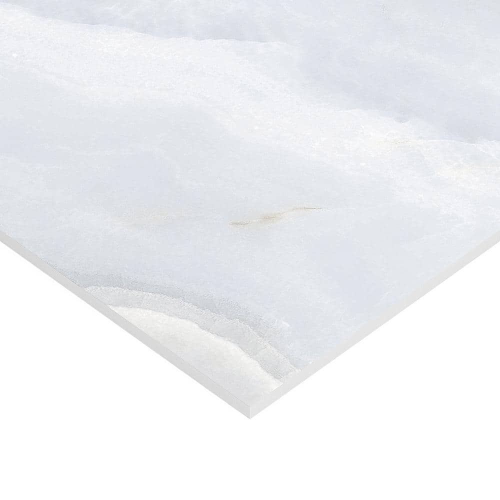 Bijou 24" x 48" Gray Polished Porcelain Marble Look Tile