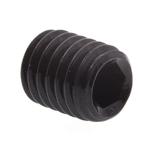 M8-1.25 x 10 mm Black Oxide Coated Steel Socket Set Screws (10-Pack)