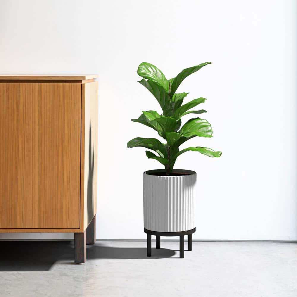 White and Black Fluted Planter with Acacia Wood Stand