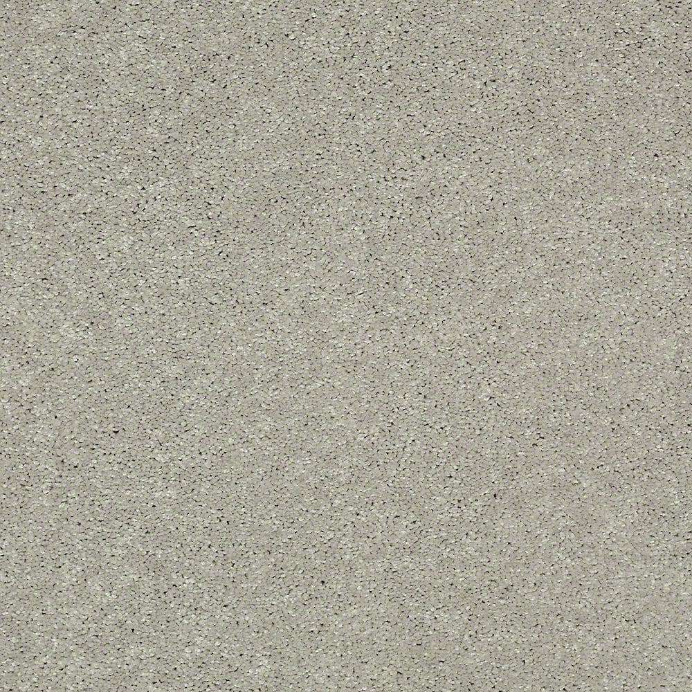 8 in. x 8 in. Texture Carpet Sample - Brave Soul II - Color Nightingale price history on PriceWatchPro