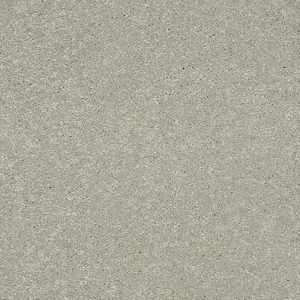 Brave Soul II - Nightingale - Gray 44 oz. Polyester Texture Installed Carpet