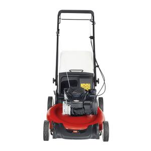 Recycler 21 in. Briggs and Stratton Low Wheel RWD Gas Walk Behind Self Propelled Lawn Mower with Bagger