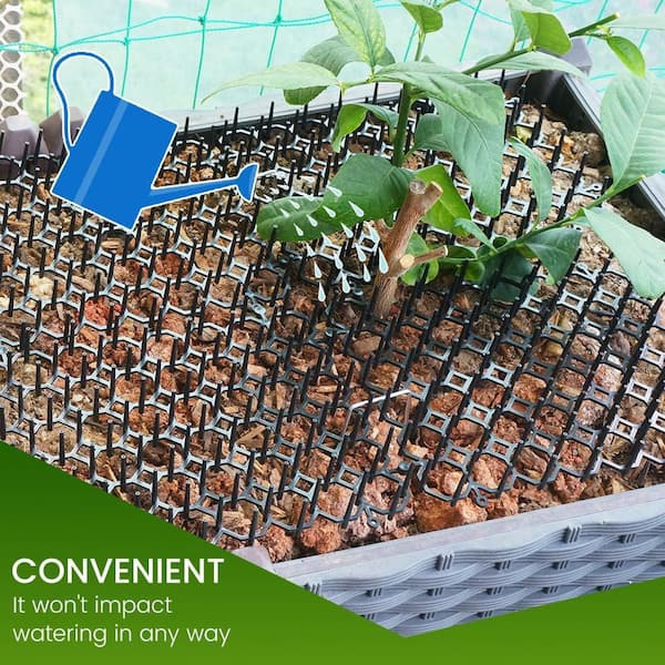 SenQWFa 16 in. 13 ft. 13 in. Scat Mat Cat Dog Digging Deterrent