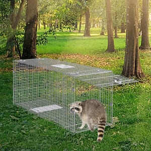 Humane Live Animal Trap, 50 in. x 20 in. x 26 in. Galvanized Iron, Foldable with Carry Handle for Stray Dogs, Raccoons