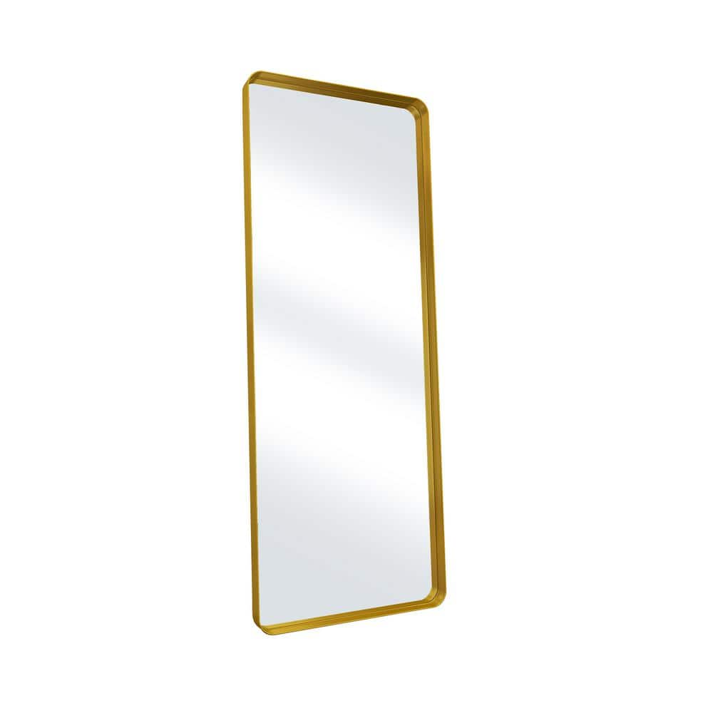 XRAMFY 21 in. W x 64 in. H Rectangular Modern Gold Aluminum Framed ...