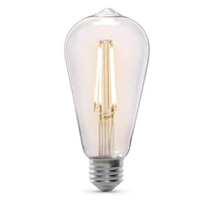 60-Watt Equivalent ST19 Straight Filament Dusk to Dawn Clear Glass E26 Vintage Edison LED Light Bulb, Bright White 3000K