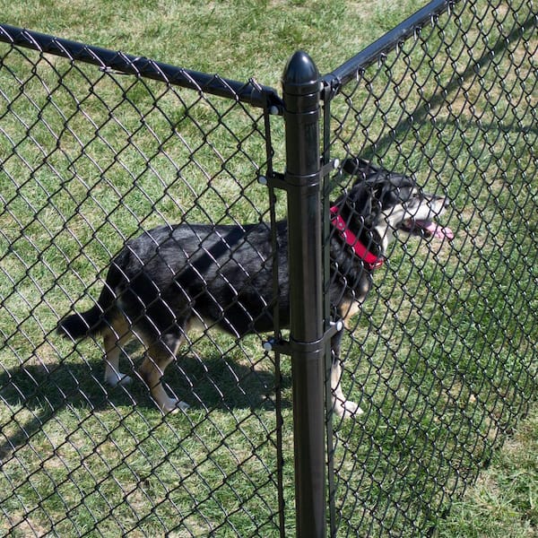 Everbilt - 42 in. x 48 in. Galvanized Steel Chain Link Fence Black Metal Gate