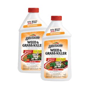 Weed and Grass Killer 32 oz. Concentrate (2-Pack)