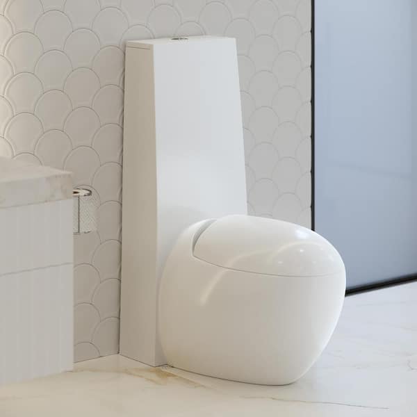 Plaisir 1-piece 1.1/1.6 GPF Dual Flush Elongated Egg Toilet in. Glossy White, Seat Included
