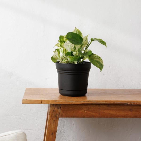 Saturn 10 in. Black Plastic Planter with Saucer