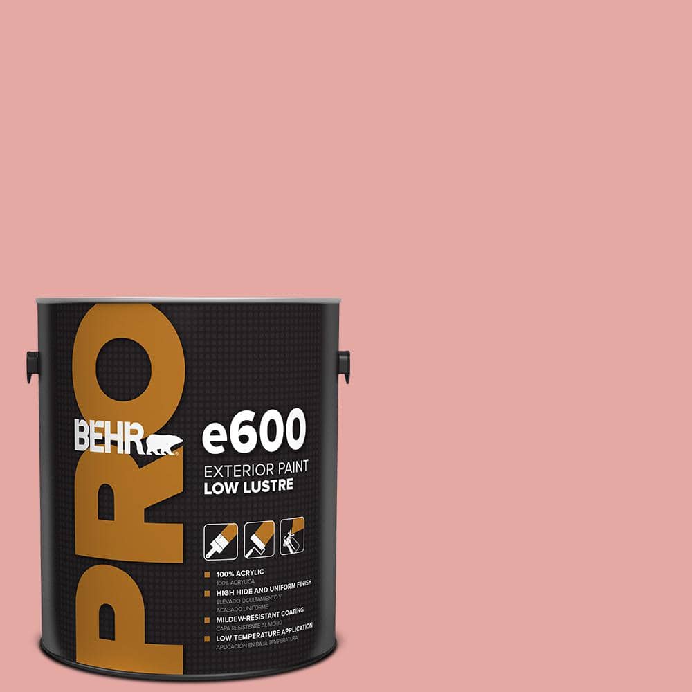 1 gal. #MQ4-03 Coral Fountain Low Luster Exterior Paint product image for price tracking