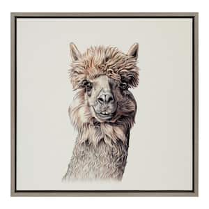 "Sylvie Alpaca" by Ron Dunn 1-Piece Framed Canvas Animals Art Print 22.00 in. x 22.00 in.