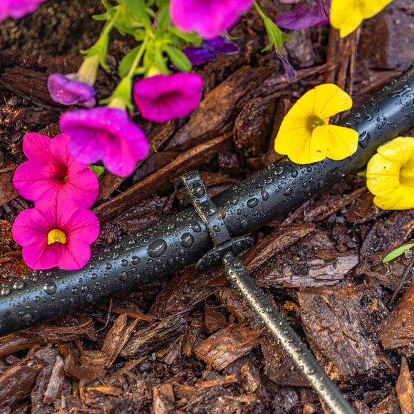 1/8" Polyethylene Drip Irrigation Tubing – 100 Feet, .125 ID X .187 OD, Drip Depot 3272
