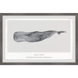 "Physeter Macrocephalus" by Marmont Hill Framed Animal Art Print 24 in. x 36 in.