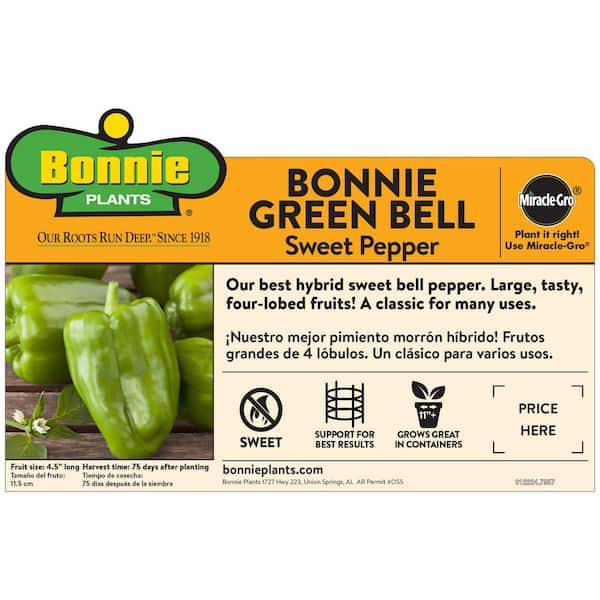 Green Bell Peppers 1 Lb. - Wholey's Curbside