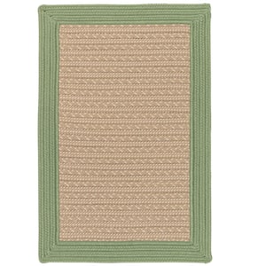 Beverly Moss 2 ft. x 3 ft. Braided Indoor/Outdoor Patio Area Rug