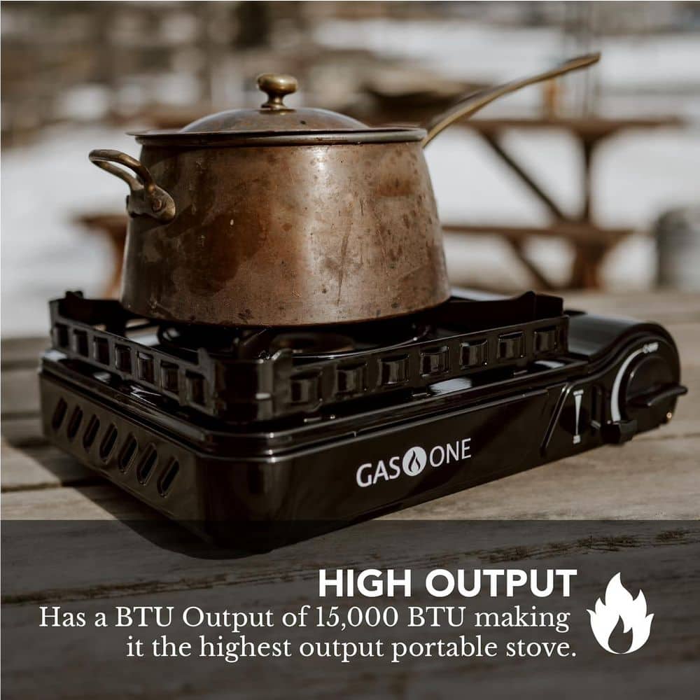 Black Dual Fuel Portable Gas Stove with Brass Burner Head
