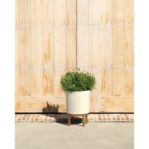 Demi 12 in. Raised with Stand Round Sand Plastic Planter with Brown Stand