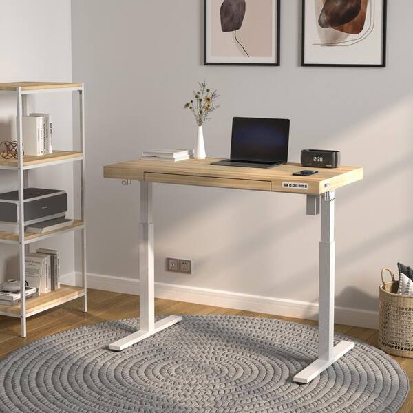 YDN 48x24 Inch Electric Standing Desk - Adjustable Height Desk With Shelf & Drawers