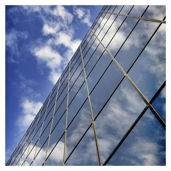 48 in. x 100 ft. RPRGY Premium Heat Control and Daytime Privacy Silver/Gray Window Film