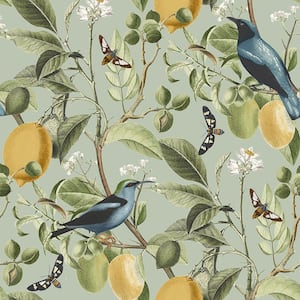 Fruit Tree Summer Sage Wallpaper