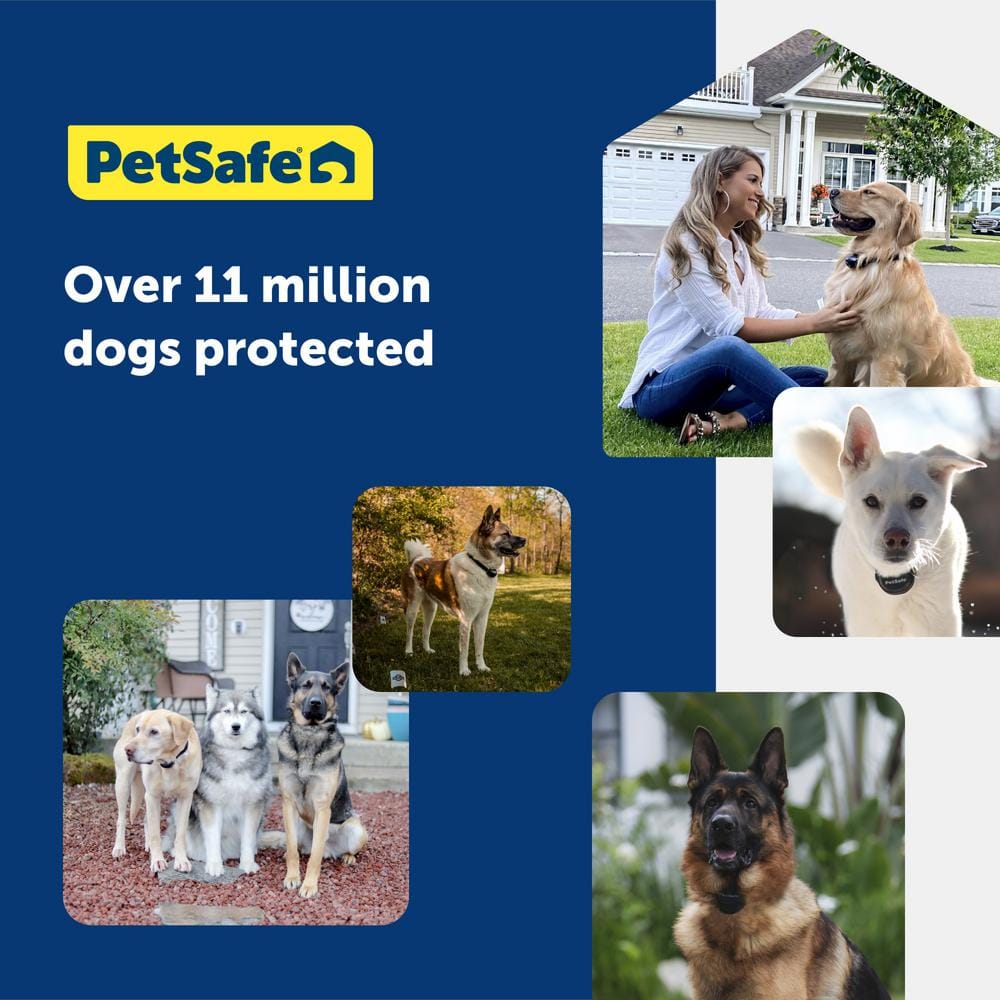 PetSafe Gray Wireless Fence System with Waterproof Collar