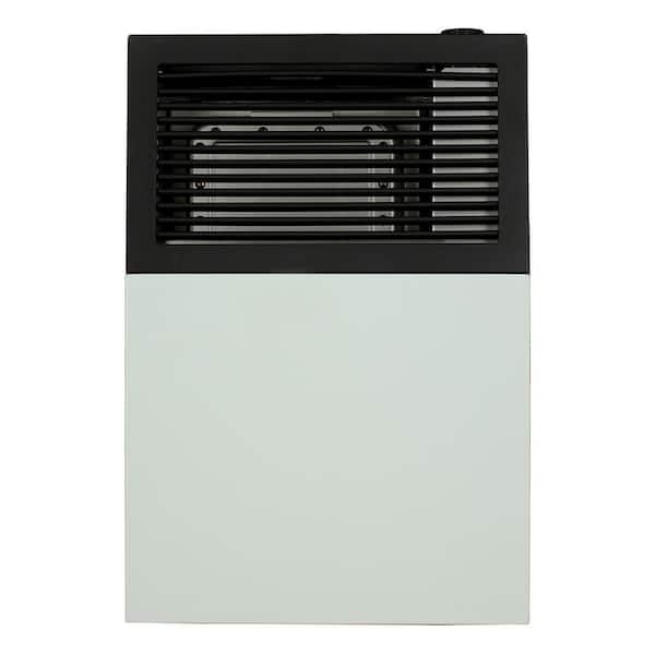 Ashley Direct Vent Propane Wall Heater 8,000 BTU
