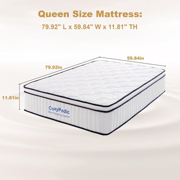 Queen Size Hybrid Mattress with Medium Firmness Memory Foam, 12 in. Pocket Springs for Back Support and Cooling