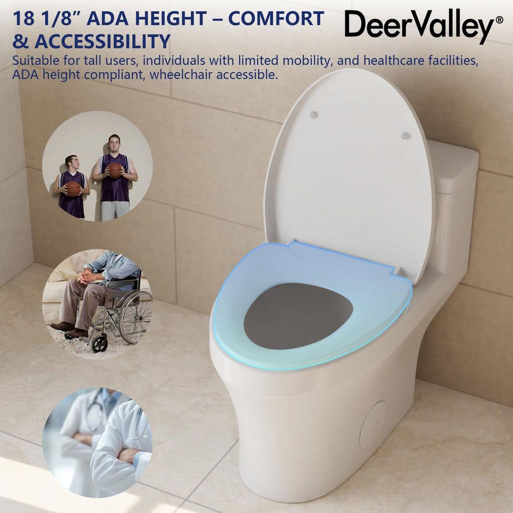 White Elongated One-Piece Dual Flush High Efficiency Toilet