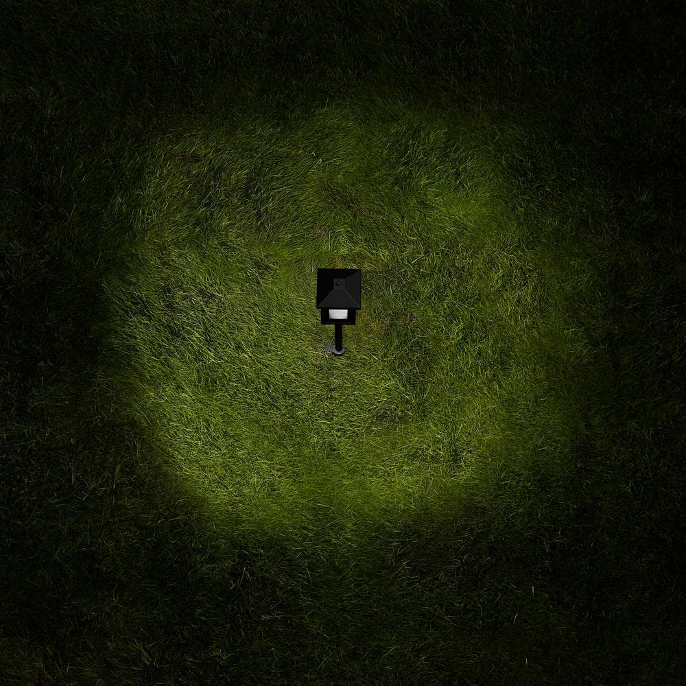 Black Bubble Glass Outdoor LED Pathway Light