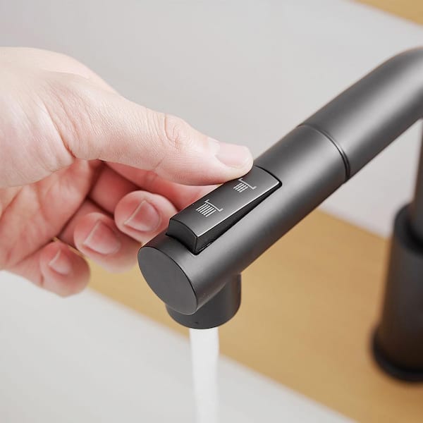 Single Handle Pull Out Sprayer Stainless Steel Kitchen Faucet in Matte Black