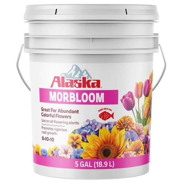 Alaska Morbloom - 5 gal