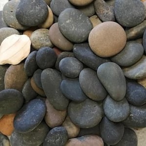 0.25 cu. ft. 20 lbs. 1/2 in. to 1-1/2 in. Mixed Button Mexican Beach Pebble