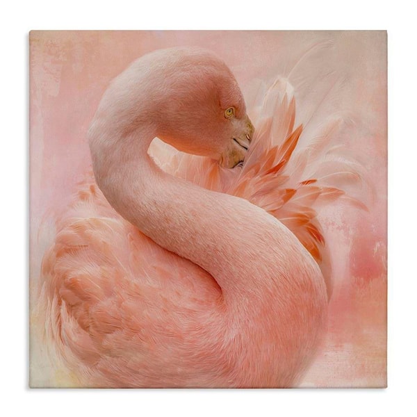 Cocoon of Plumage by Kelley Parker Unframed Animal Graphic Art Print 17 in. x 17 in.