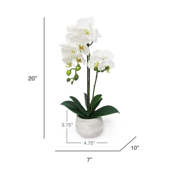 20 in. White Artificial Phalaenopsis Orchid Flower Arrangement in Clay Pot  5091-WH - The Home Depot