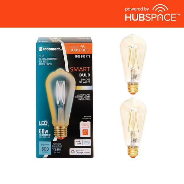 EcoSmart 60-Watt Equivalent Smart ST19 Amber Tunable White CEC LED Light Bulb with Voice Control Powered by Hubspace (2-Pack)