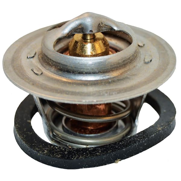 Raypak Unitherm Governor Capron Replacement Part for Select Pool Heaters