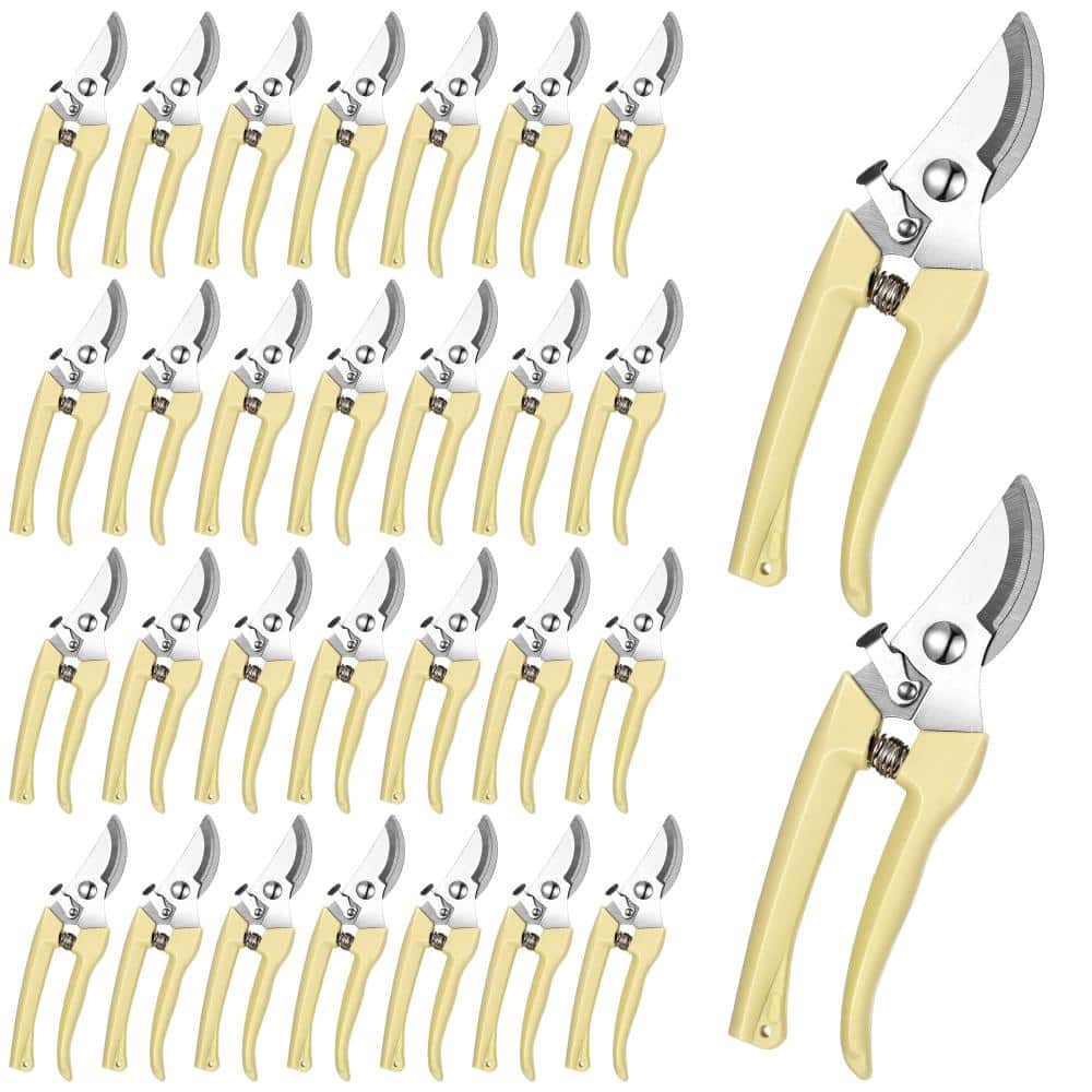 30-Pack Beige Garden Flower Shears and Pruning Scissors with Stainless Steel Blades for Precision Trimming price history on PriceWatchPro