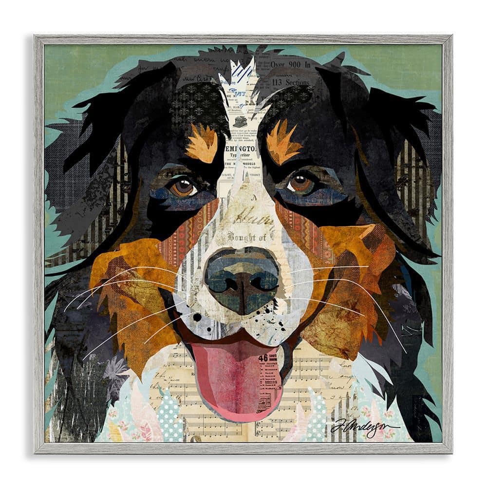 Bernese Mountain Dog Collage by Traci Anderson Gray Framed Giclee Art Print Animal 24 in. x 24 in. price history on PriceWatchPro