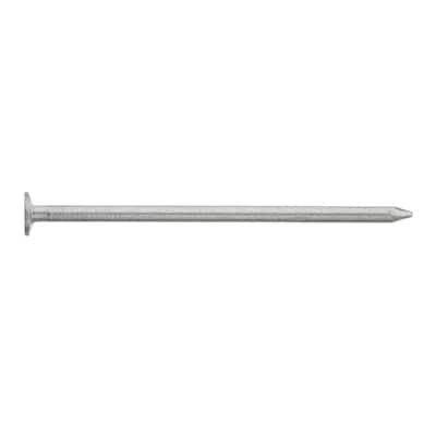 2-1/2 in. x 8D Hot Dipped Galvanized Box Nails 1 lb. (110-Count)