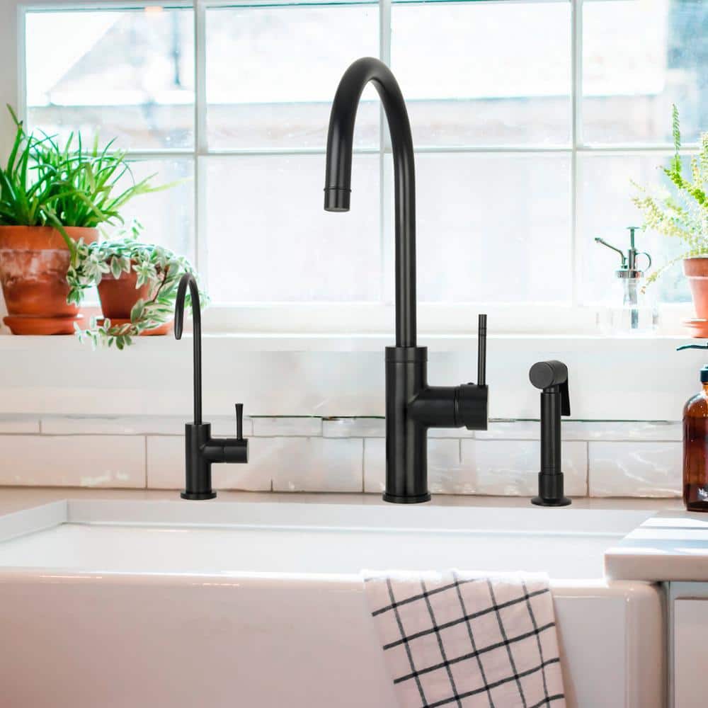 Matte Black High Arc Single-Handle Drinking Water Faucet