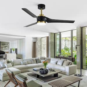 Clare 52 in. Integrated LED Indoor Black-Blade Gold Ceiling Fans with Light and Remote Control Included