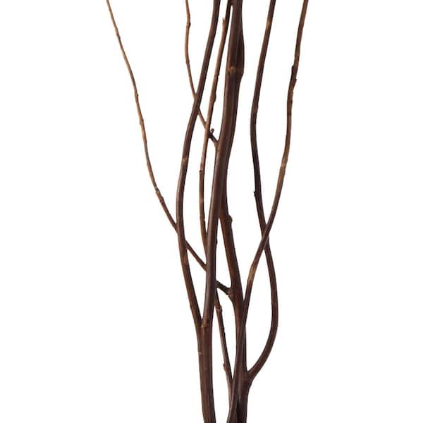 144,114 Willow Branches Images, Stock Photos, 3D objects, & Vectors