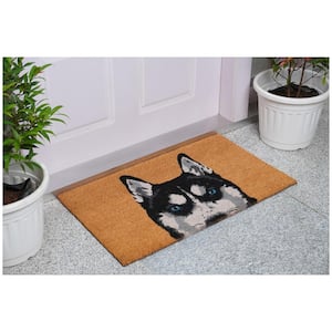 Black Siberian Husky Multi-Colored 24 in. x 36 in. Indoor or Outdoor Door Mat