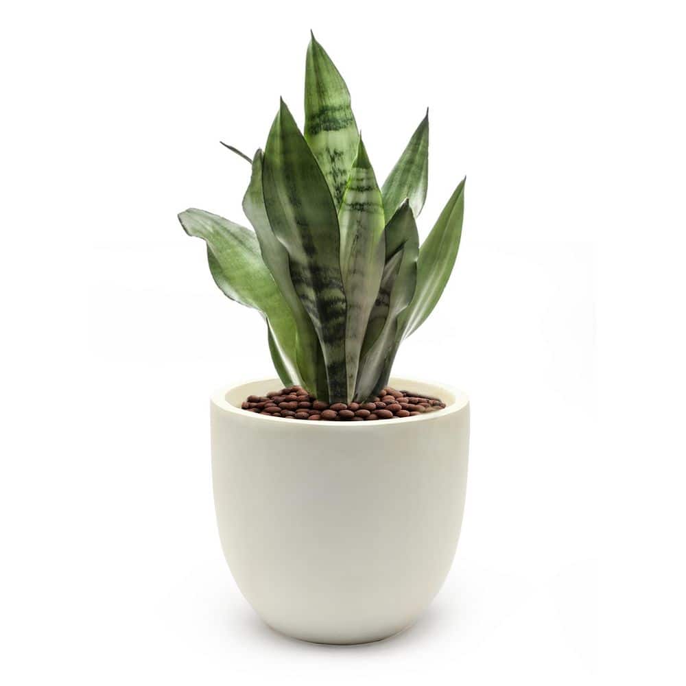 White Round Magnesium Oxide Outdoor Planter, 12.2in Height