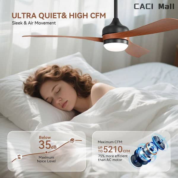 CACI Mall 52 in. Indoor/Outdoor Modern Black and Brown Ceiling Fan