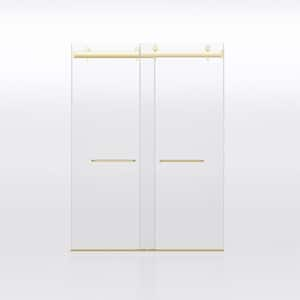 56 in. - 60 in. W x 76 in. H Double Sliding Frameless Shower Door in Brushed Gold Soft-Closing and 3/8 in. Clear Glass