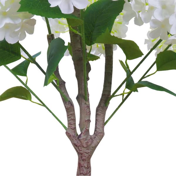 Hydrangea4937　0531 Hydrangea Shrubs 3 Gallon, 2-pack | Costco