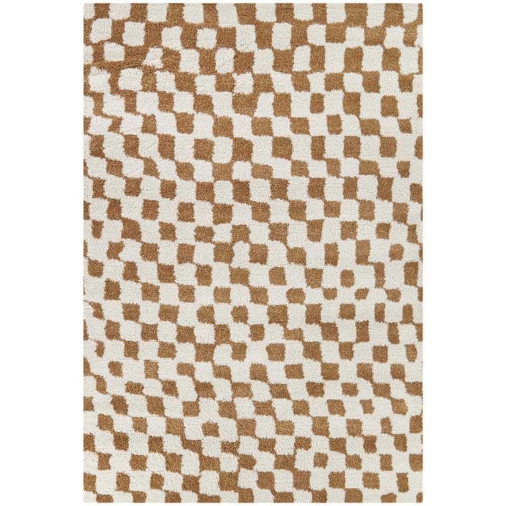 Dietrich Brown 5 ft. x 7 ft. Checkered Area Rug price history on PriceWatchPro